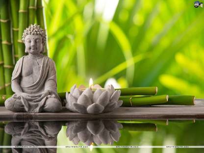 Lord Gautam Buddha Poster Multi Color Photo Paper Print Poster Photographic Paper