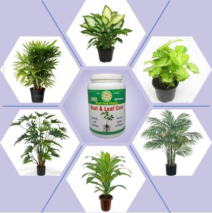 BON products ROOT AND LEAF CARE POWDER Fertilizer