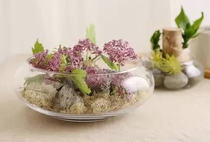 Mitansh Glass Vase, Urli Bowl Terrarium Succulent Planter Clear LxBxH-8x8x3.5 Inch Glass Vase