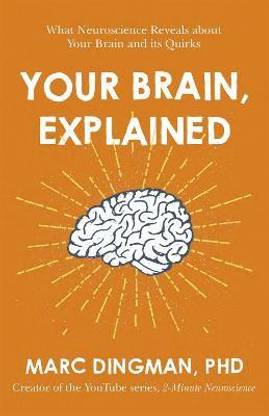 Your Brain, Explained