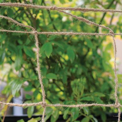 WNE Jaliwale Jute Plant Climbing net & Jute Plant Trellis Netting Creeper Net - 6feet x 6feet Hiking Net
