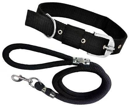 SS PET ZONE Dog & Cat Collar & Leash