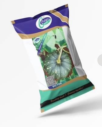 CALYXSEEDS : VICTOR, PUMPKIN F1 HYBRID, HYBRID KADDU, HYBRID SEETAFAL Seed
