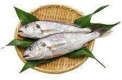 The Fish Cart croaker big Curry Cut