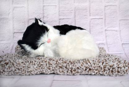 OFFO Sleeping Black & White Cat Stuffed Soft Plush Toy| Lightweight and portable  - 29 cm