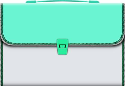 Fedus Plastic 13 Pocket Expanding File Folder with Handle, A4 Large Capacity Portable Holder