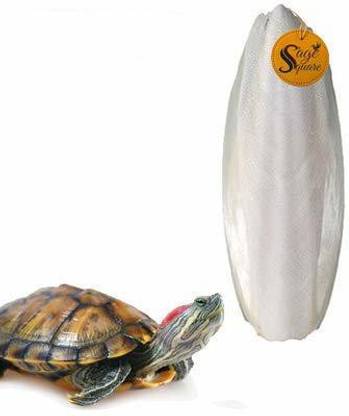 Sage Square Natural Calcium Source Cuttlebone Fish for Turtle (500grm) Fish Turtle Chew