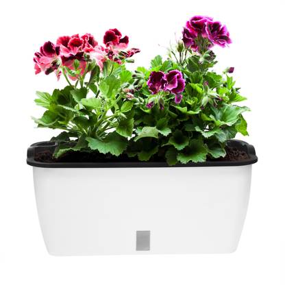 ABOUT SPACE Self-Watering Pot Rectangular Planter with Water Level Indicator (Pack of 1) Plant Container Set