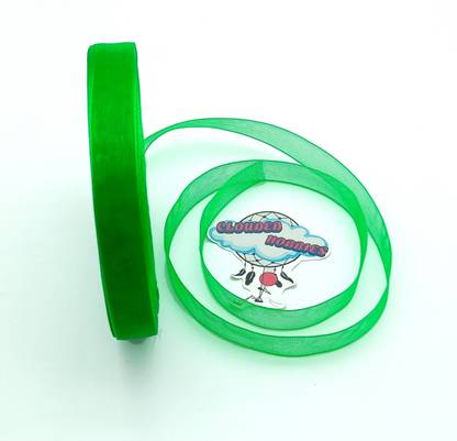 CLOUDED HOBBIES LIGHT GREEN ORGANZA RIBBON Green Satin Ribbon