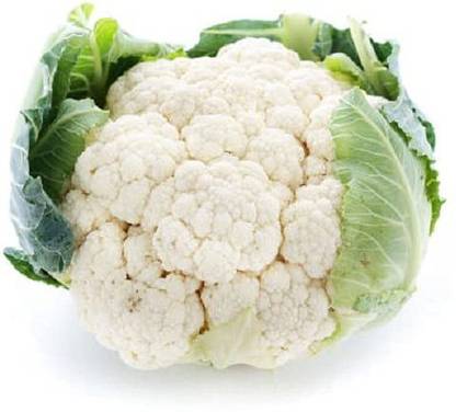 VibeX ® RXI-184 Cauliflower F1 Hybrid Imported Seeds Seed