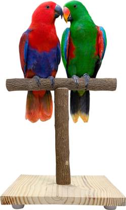CONGO NATURAL PARROT TREAT Climbing Perch Bird