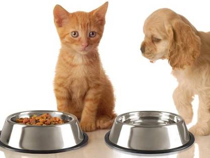 Furever Friends Dog & Cat Bowl ( Set of 2 ) Round Steel Pet Bowl (200 ml Steel) Pet Food Dispenser