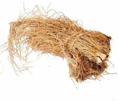 MyGodGift Khus Root ,Vetiveria,Zizanioides,Vala ,Kas Ramacham ,Vetiver ,Vettiver Root Seed