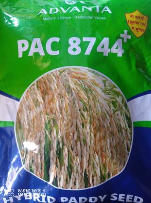 UPL Advanta 8744+ Seed