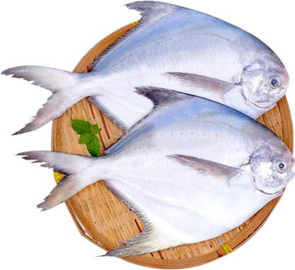 Adam's Fresh Meat White Pomfret Whole