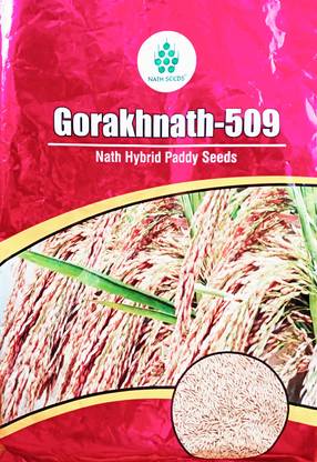 Nath hybrid paddy seeds 509, Gorakhnath 509 paddy, 509 paddy, Gorakhnath paddy. Seed