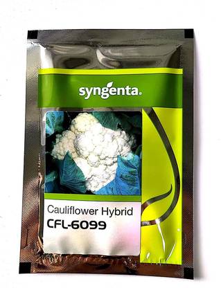 syngenta CFL-6099 10 gm, Cauliflower Seed