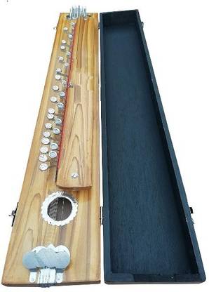Armusic Indian Banjo (Bulbul Tarang) with, Strings, Picks Lyre Instrument