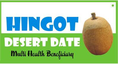 Hingot HINGOT DESERT DATE FRUIT , ENGALA KAYI , Hingan, Ingudi Fruit, HERB SEED Seed