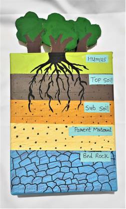 the craft gurus Basic Model Of Soil Profiling , Layer Of Soil - For School Project