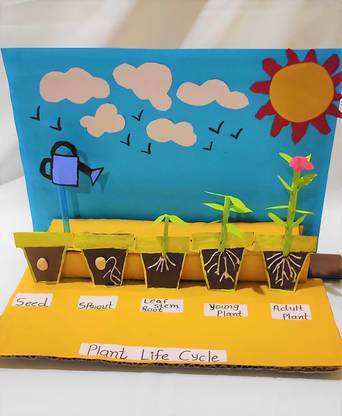 the craft gurus Working Model Plant Life Cycle Including Various Life Stages For School Project