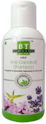BT BOERICKE & TAFEL Anti Dandruff Shampoo