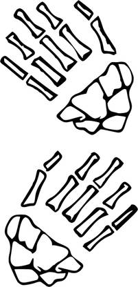 SIMPLY INKED Skeleton Hand Temporary Tattoo, Designer Tattoo for all