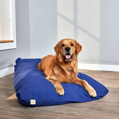 SleepyCat Original Splash Resistant L Pet Bed