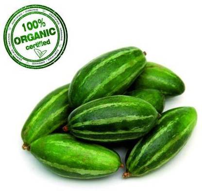 HARIKRISHNAIMPEX Parwal seed, seedagro Pointed gourd, vegitable seed, parvar seed Seed