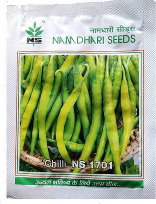Namdhari Seeds Chilli Seeds, NS 1701 - 10 gm Seed