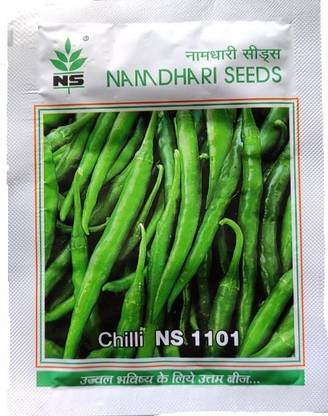 Namdhari Seeds NS 1101, 2000 seeds, Chilli, Hot Pepper Seed