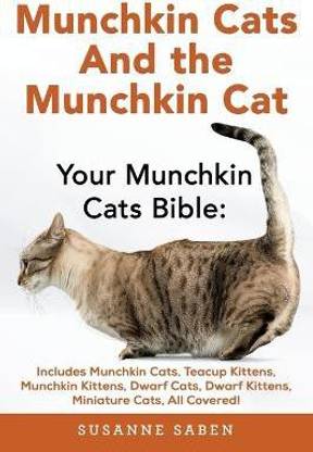 Munchkin Cats & the Munchkin Cat