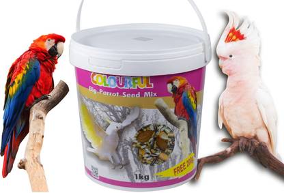 colourful Natural & Healthy Premium Bird Food | Big Parrot Seed Mix 1kg + Free 200g Nuts 1.2 kg Dry Adult Bird Food
