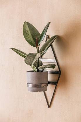 Acrylic Design Art Plant Container Set