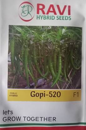 RAVI HYBRID SEEDS GOPI 520 Seed