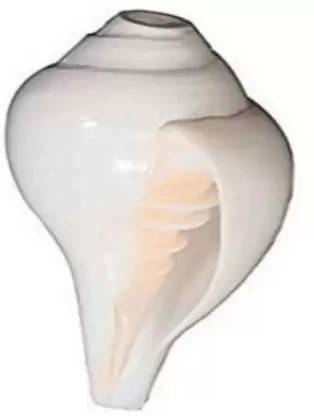 krishna co Blowing Shankh