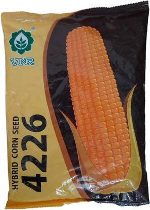VNRSEEDS Maize Seed