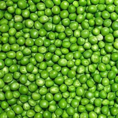 Chalisa Green Peas, Mutter, peas Seed