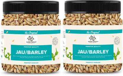 HUNGRY HARVEST Raw Barley Seeds (Jau) Barley Grain Barley| Jar Pack| Barley
