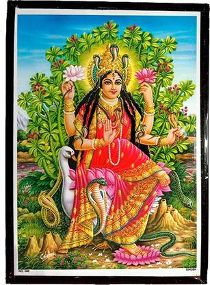 Deshkart MANASA MATA (5 INCH X 7 INCH) LAMINATED PHOTO WITH BACK SUPPORT MOUNT Religious Frame