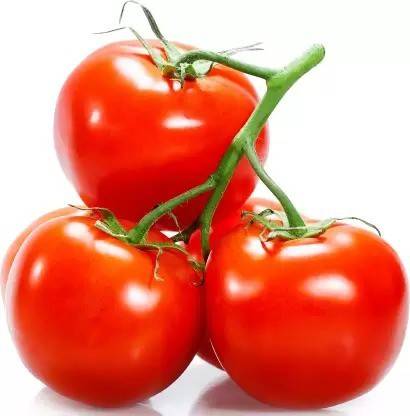 dharti Tomato Seed
