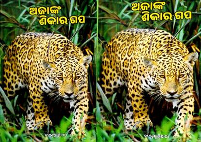 Ajanka Sikara Gapa