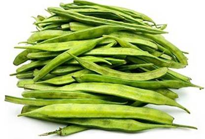 XOLDA Hybrid Cluster Beans Seed