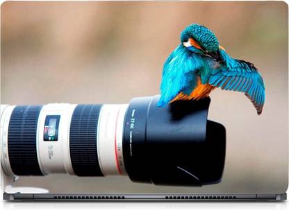 i-Birds ® Bird on Camera Exclusive High Quality Laptop Decal, laptop skin sticker 15.6 inch (15 x 10) Inch iB-5K_skin_0299 High Quality HD Printed Vinyl Laptop Decal 15.6