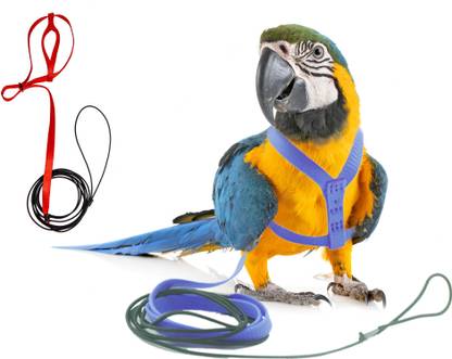 Western Era Bird Harness With Leash, Design for Outdoor Activities for Medium Birds/ Parrot Bird Standard Harness