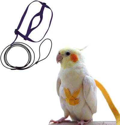 Sage Square Bird Harness Adjustable Durable Safe for Training for Extra Small Birds /Parrot Bird Standard Harness