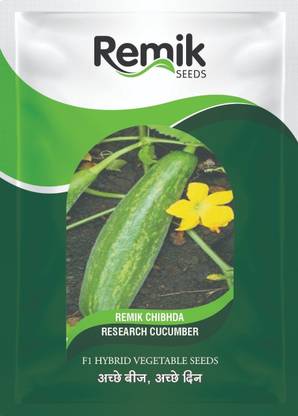 Remikseeds Research Cucumber Remik Chibhda Seed