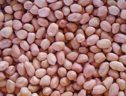 KEVAL GO GREEN Groundnut Seeds 1 kg for farming Seed