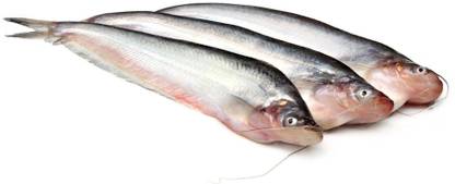 Meatkart Pabda Fish Whole