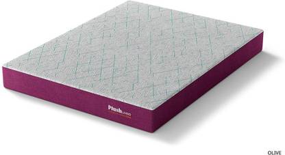 Plush Living Olive Dual Comfort 6 inch Single High Resilience (HR) Foam Mattress